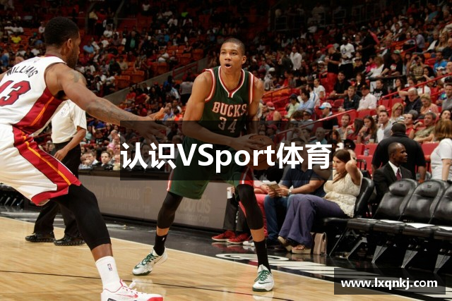 认识VSport体育